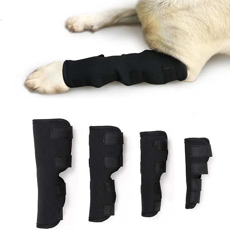 Bandaža za nogu i koleno psa – dvostrani neopren, oporavak od povrede, S/M/L/XL