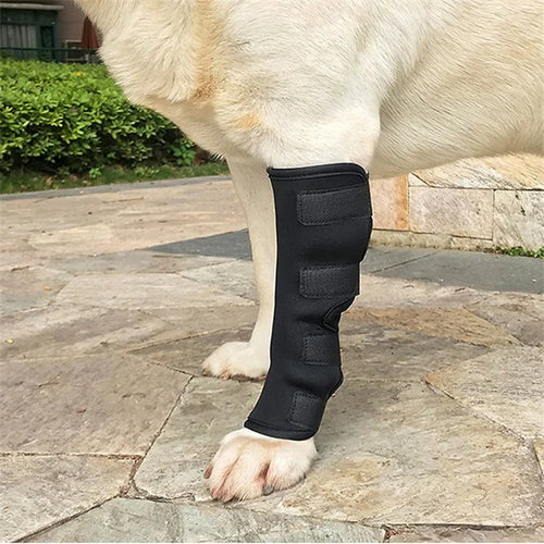 Bandaža za koleno psa – par (2 kom), oporavak od povrede, S/M/L/XL