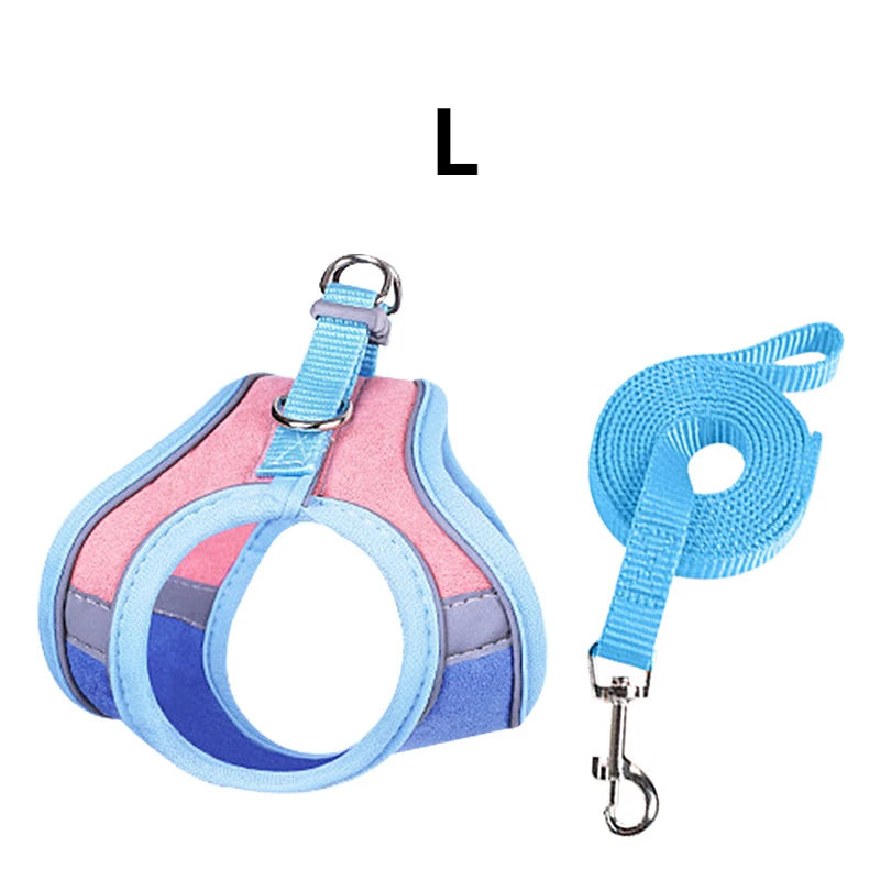 Rabbit Harness and Leash – Reflective Strips, Double Buckle, S/M/L
