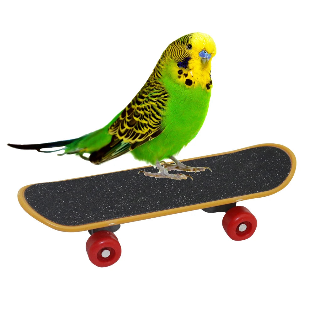 Mini Skateboard Toy for Parrots – Intelligence Training, for Cockatiels and Budgies