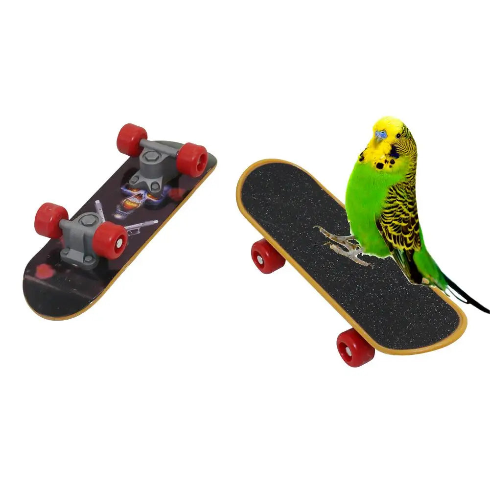 Mini Skateboard Toy for Parrots – Intelligence Training, for Cockatiels and Budgies