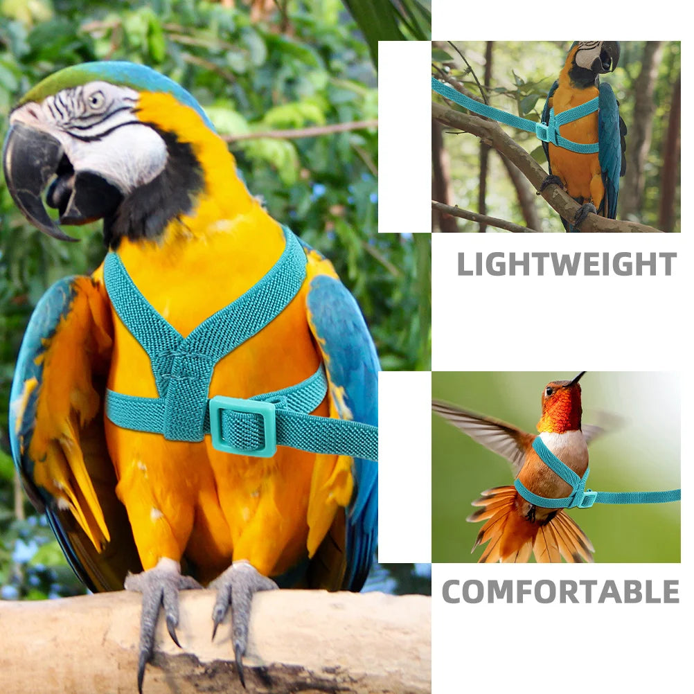 Ultralight Parrot Flight Training Harness – Adjustable, Durable, for Indoor and Outdoor Use