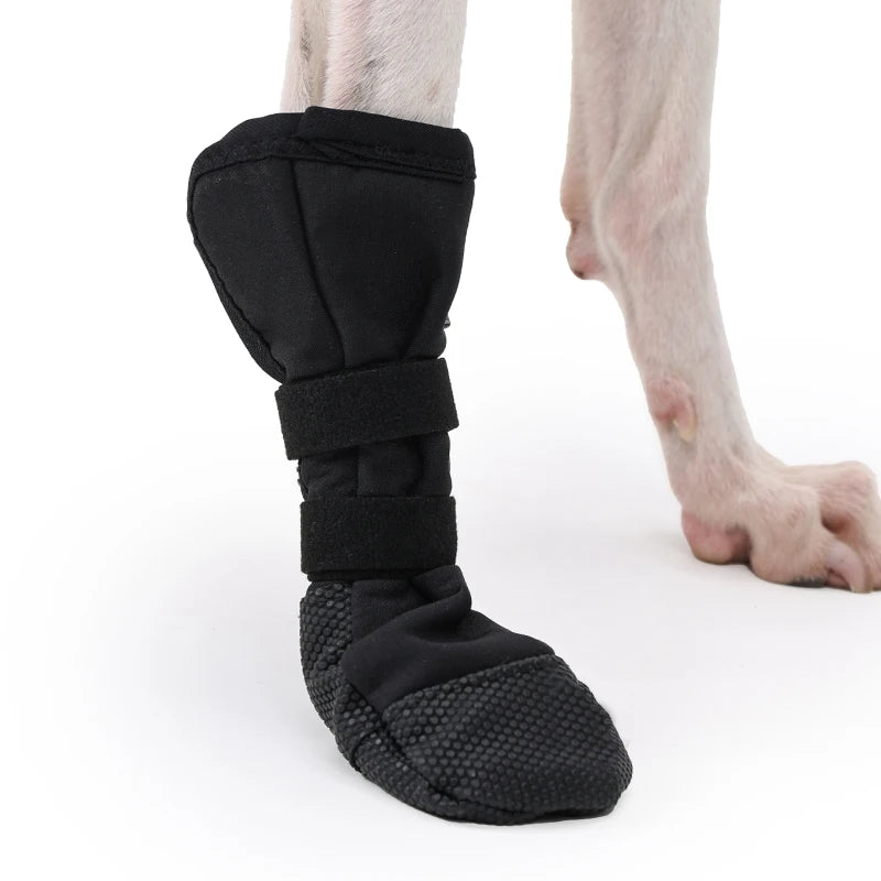Waterproof dog booties – paw protection for all seasons