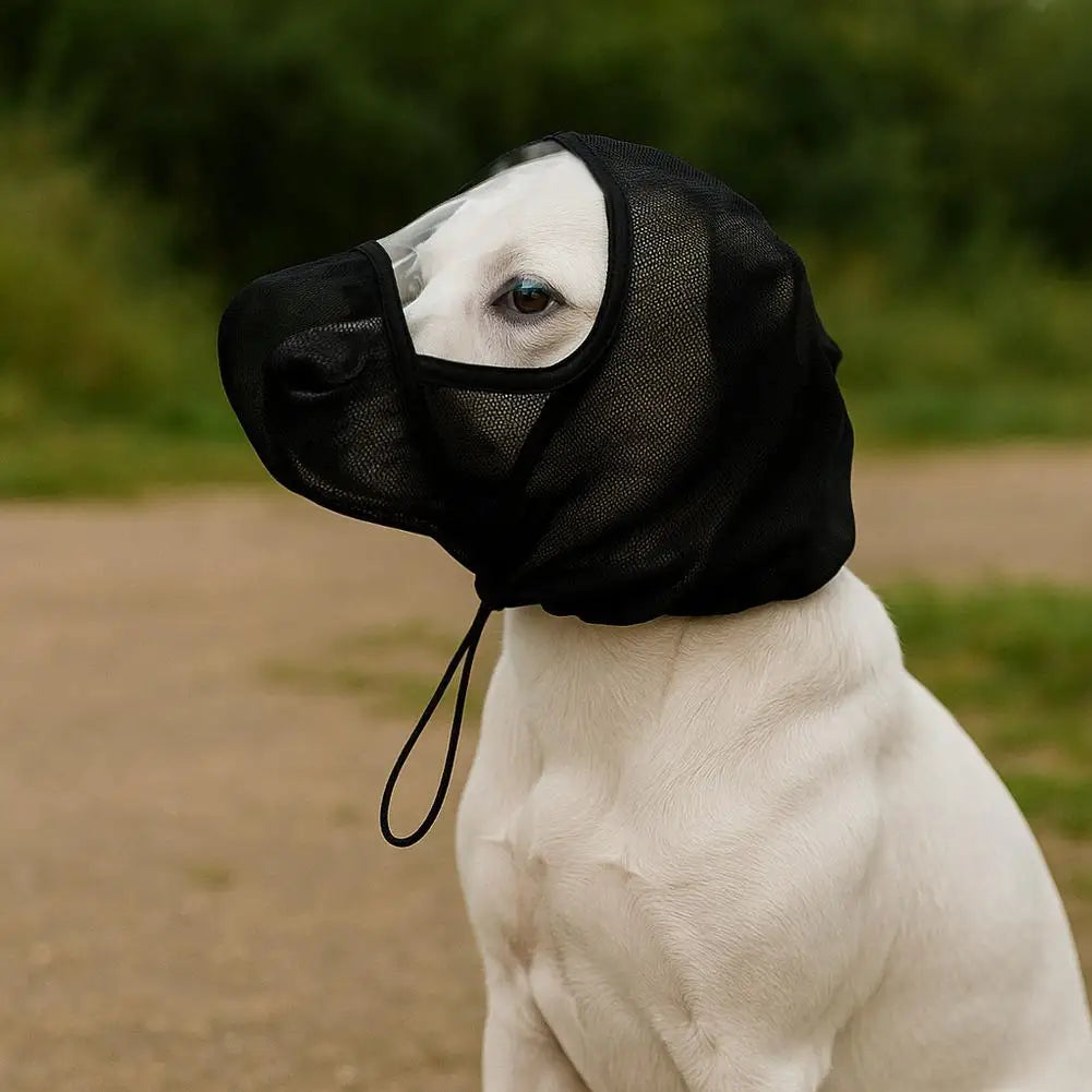 Dog Protective Mask Prevent Mosquito Bites Prevent Dog Bites Prevent Eating Randomly Mask Pet Supplies Size S M L