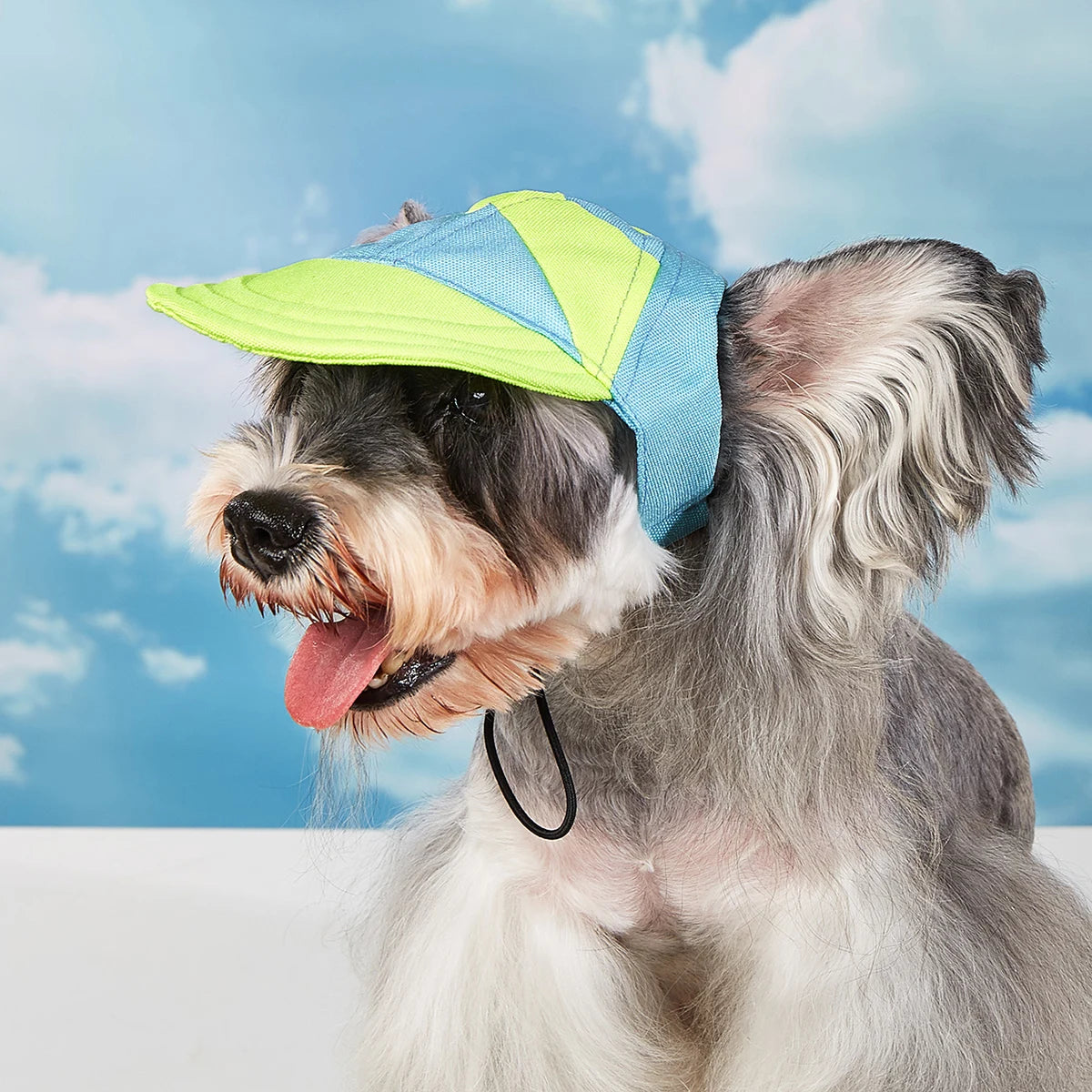 Dog Hat Sun Protection Summer Travel for Small and Medium Dogs, Hats for Chihuahua and French Bulldog