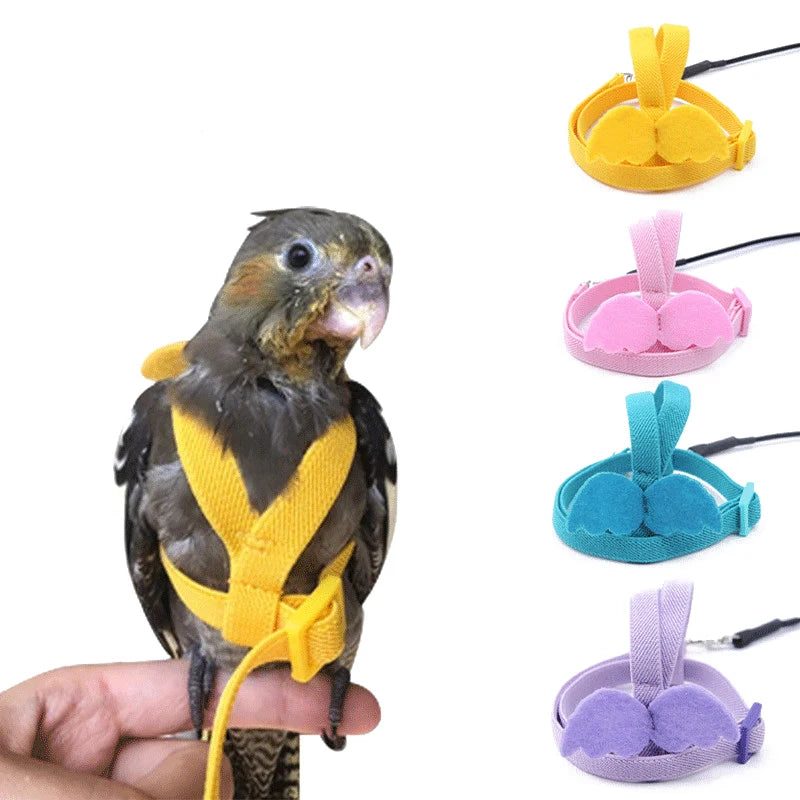 Parrot Flight Training Leash - Elastic, 200 cm, 7 colors