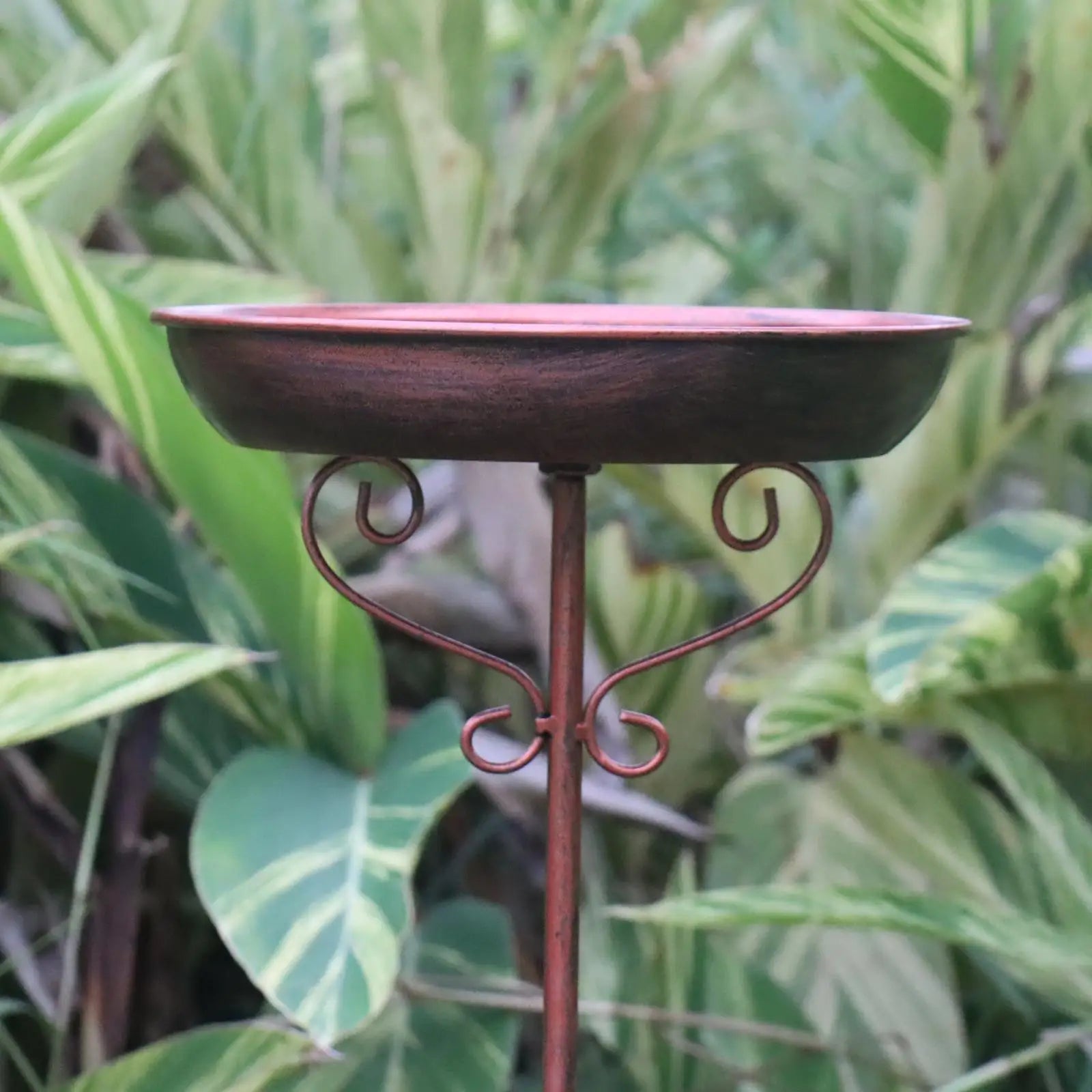 Bird Waterer – Vintage Style, Water Bowl, Garden Decoration
