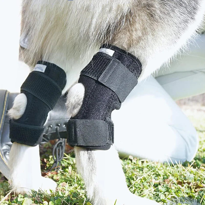 Prozračna bandaža za koleno i zglob psa – set 2 kom, oporavak od povrede, M/L/XL