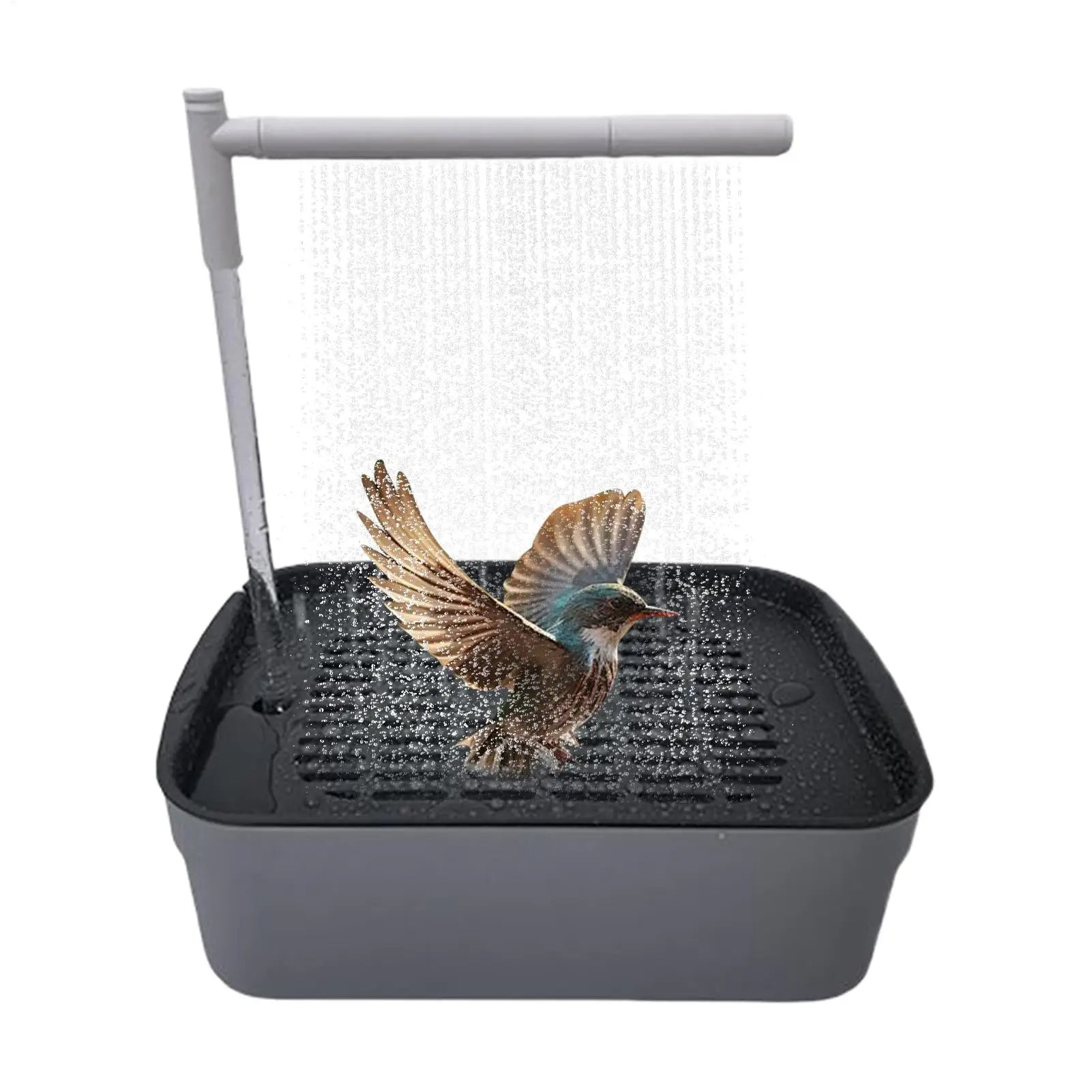 Automatic Bird Bath Tub – Water Circulation, Bird Shower