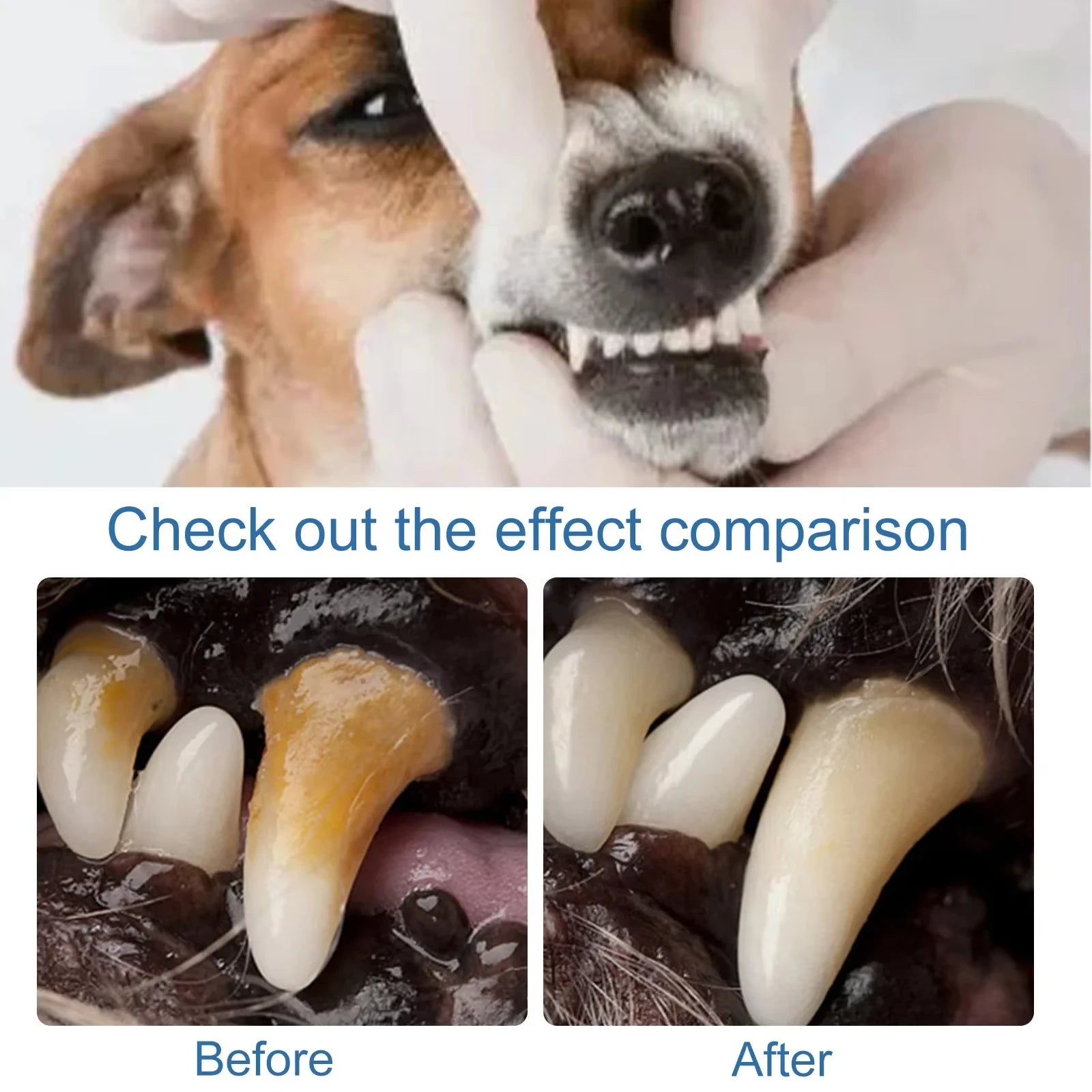 Pet Dental Care Foam Dog Oral Breath Freshener Keep Dog Breath Fresh And Teeth Clean Supports Gum Health Dog Dental Care