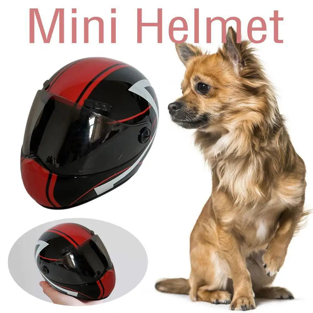 Cat Dog Pet Motorcycle Helmet Full Face Pet Motorcycle Mini Motorcycle Safety Helmet Outdoor Head Protecting Pet Hard Hat