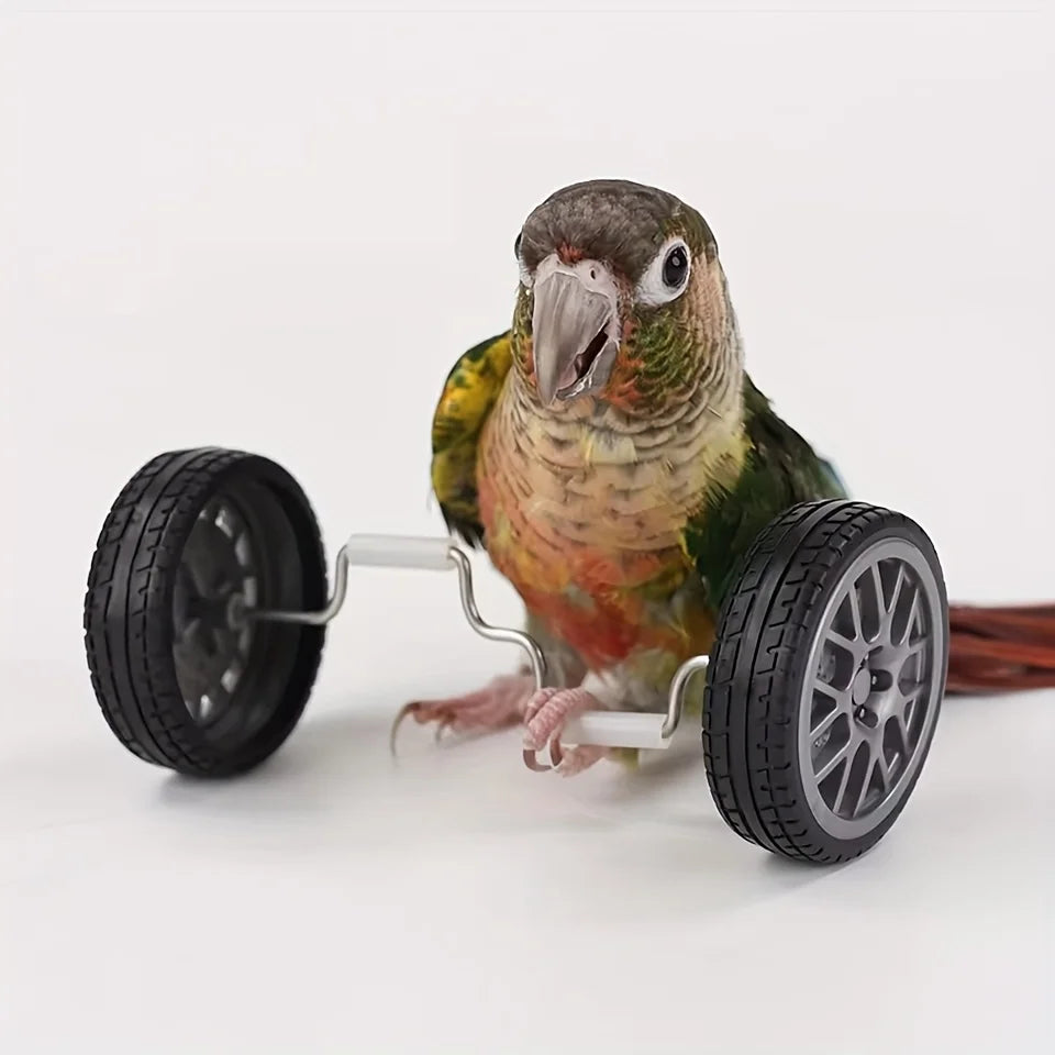 Mini Bird Bicycle – Balance and Intelligence Training for Parrots