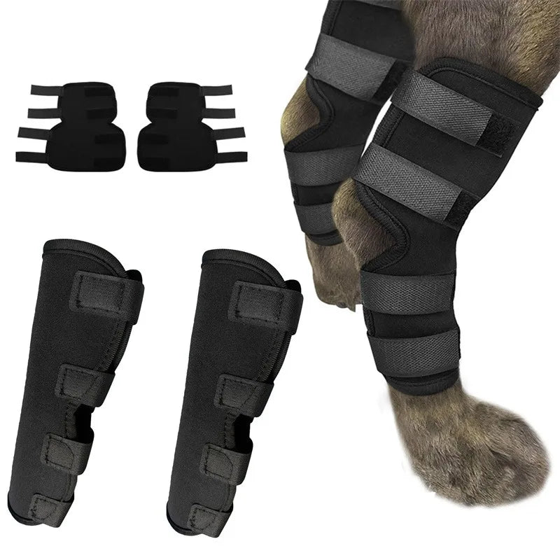 Bandaža za koleno psa – par (2 kom), oporavak od povrede, S/M/L/XL