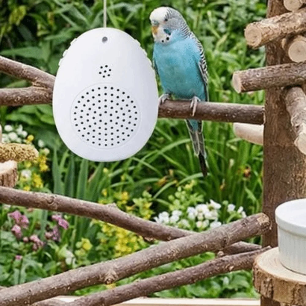 Parrot Speech Learning Machine – Recording, Timer, Interactive