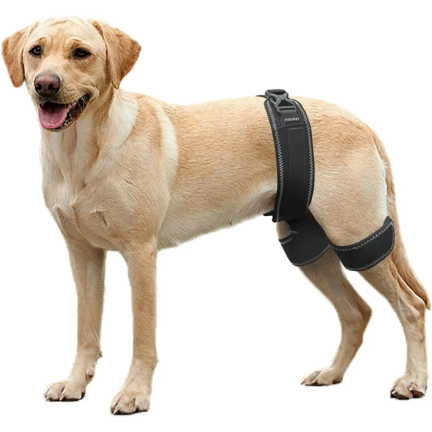 Dog Hip Orthotics Brace,Support for Hip Dysplasia,Relieve Pain Prevent Hip Joint Diseases,Help Dog Injury Recovery