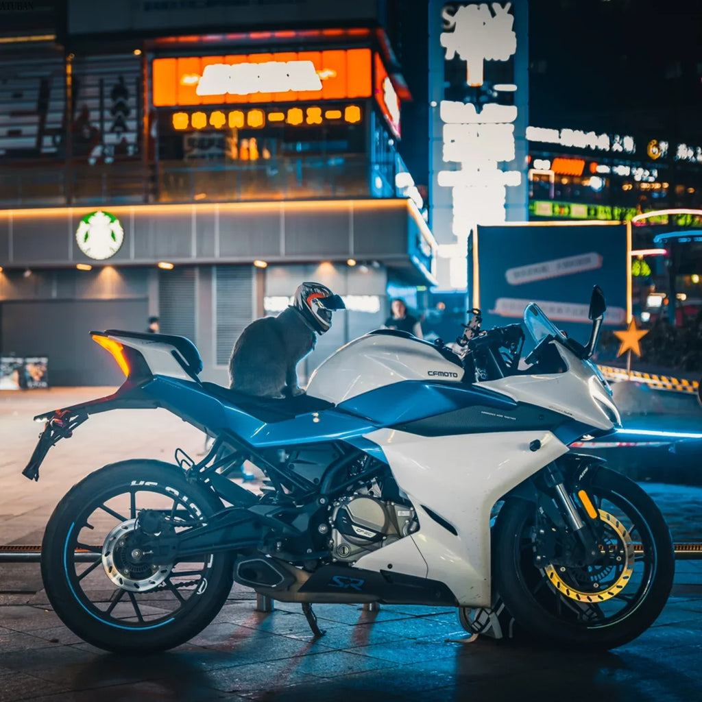 Kaciga za pse i mačke – mini motociklistička kaciga za ljubimce