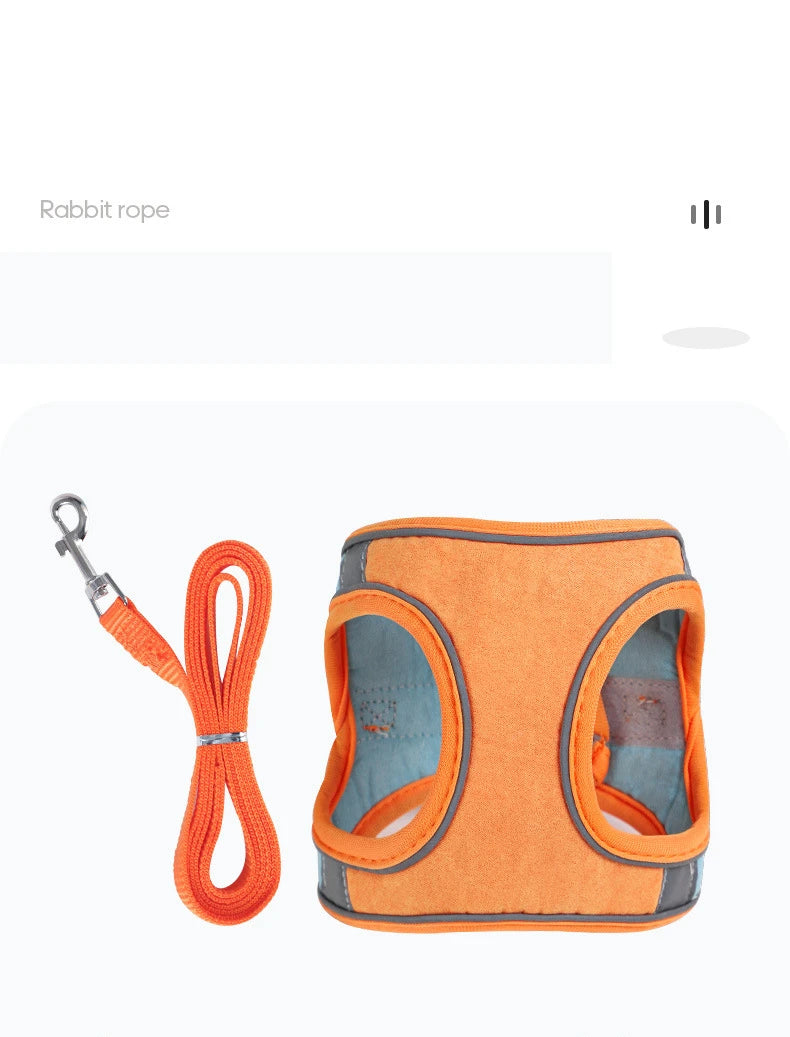 Rabbit Harness and Leash – Reflective Strips, Double Buckle, S/M/L