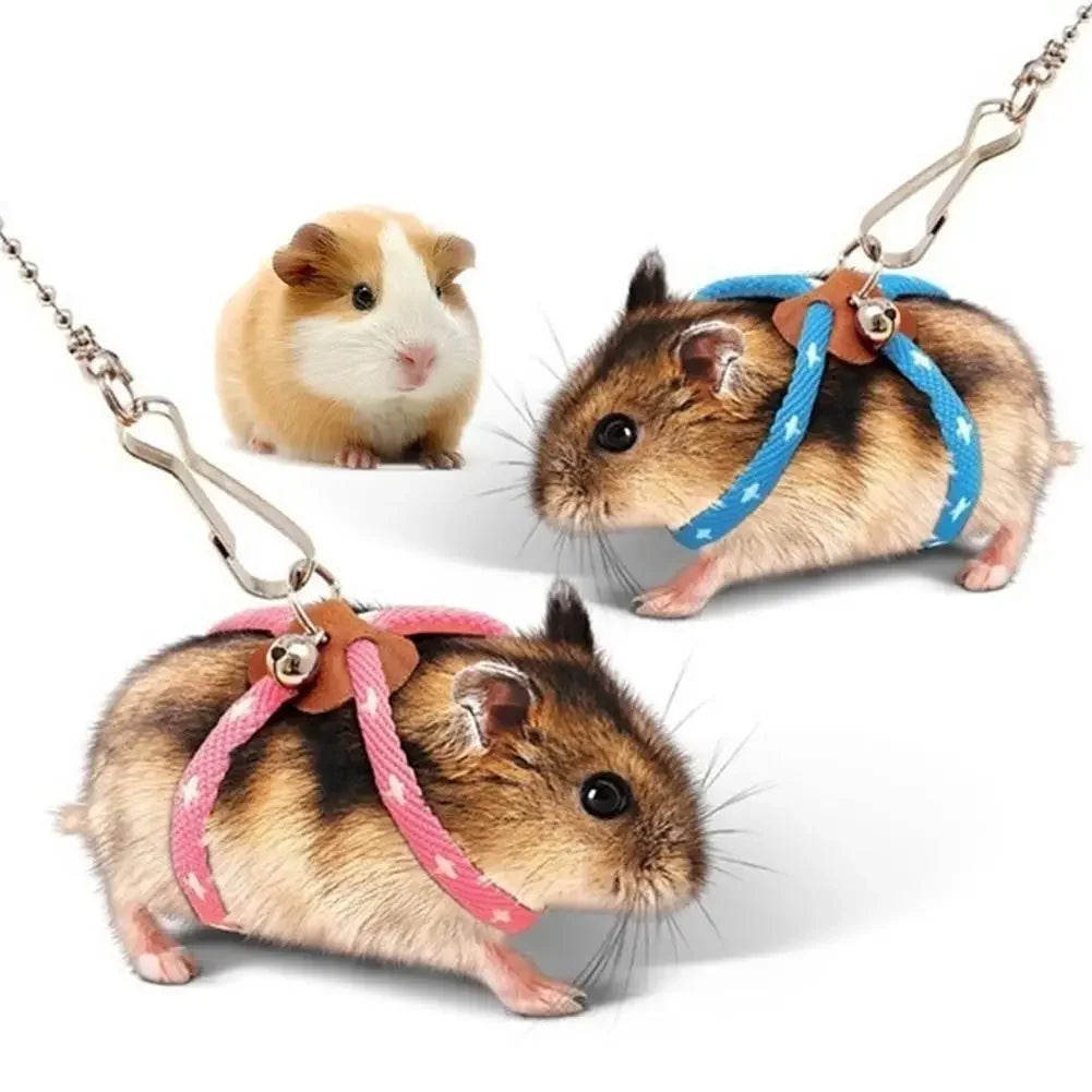 Adjustable Harness with Leash for Small Pets – Birds, Hamsters, Guinea Pigs, Rats