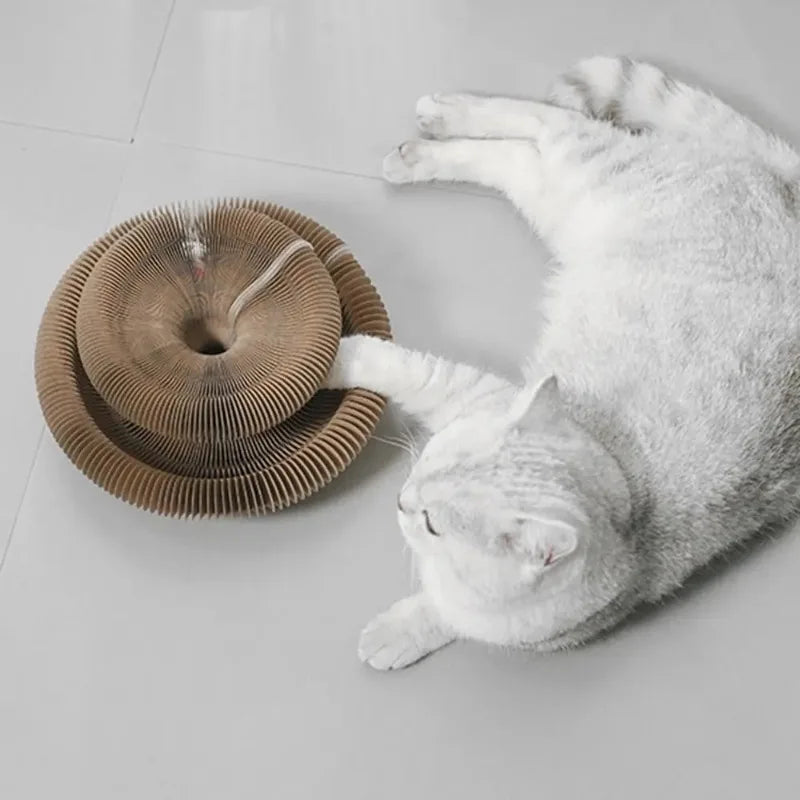 Kitty Kurlz harmonika igračka za mačke – grebalica od kartona sa zvončićima