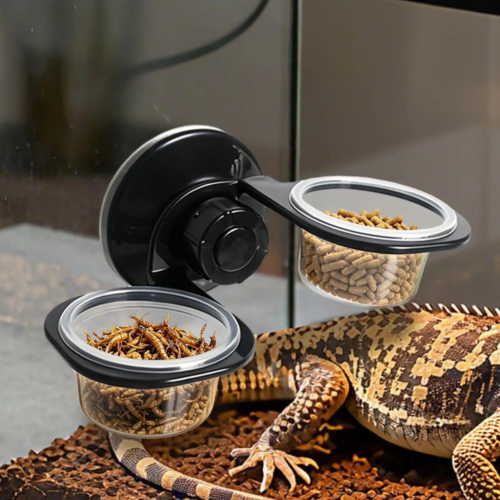 Zidna posuda za hranu i vodu za reptile – vakumski pričvršćivač