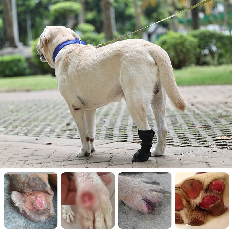 Waterproof dog booties – paw protection for all seasons