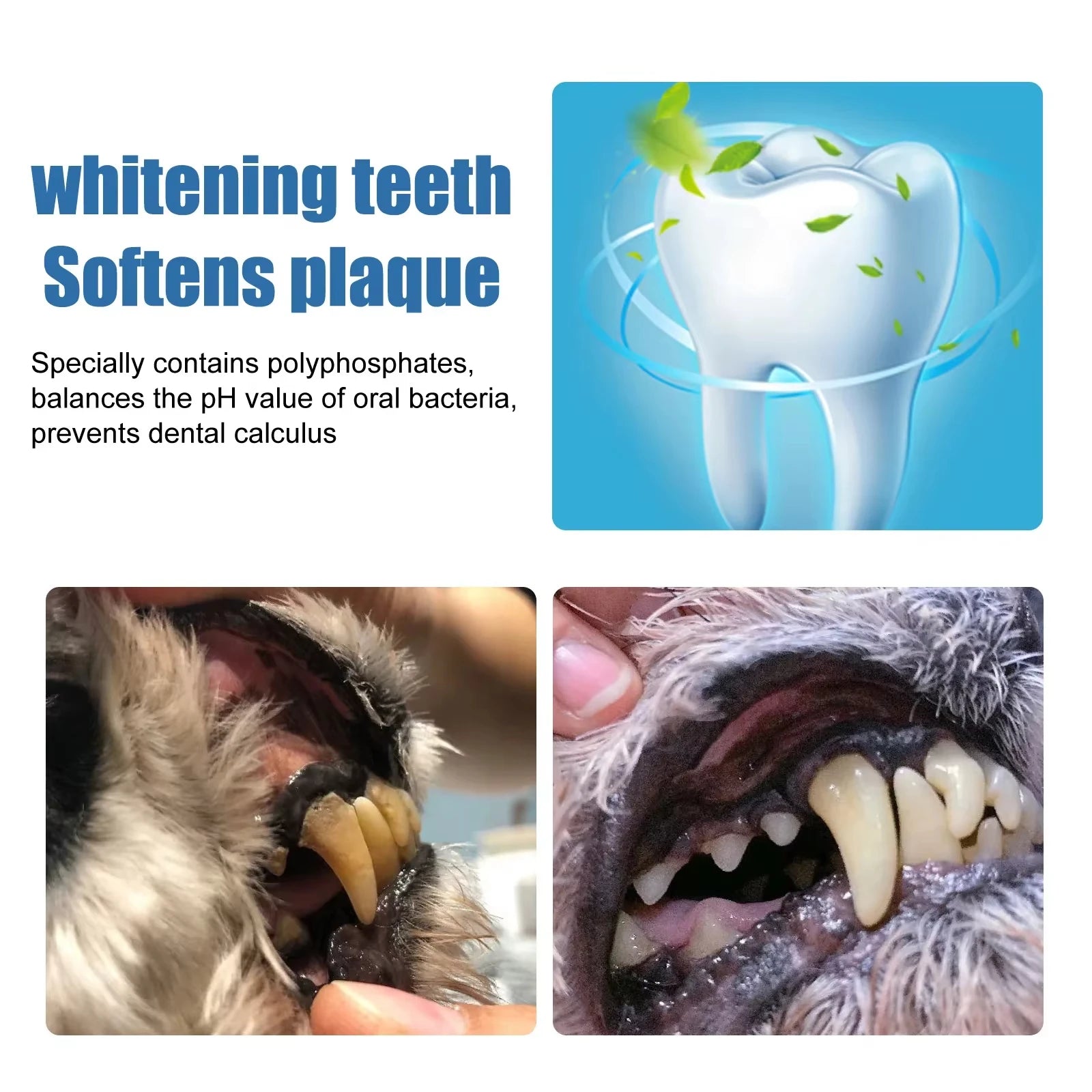 Pet Dental Care Foam Dog Oral Breath Freshener Keep Dog Breath Fresh And Teeth Clean Supports Gum Health Dog Dental Care