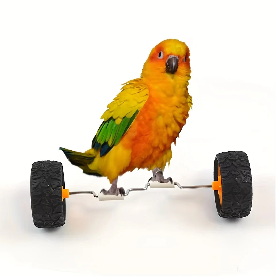 Mini Bird Bicycle – Balance and Intelligence Training for Parrots