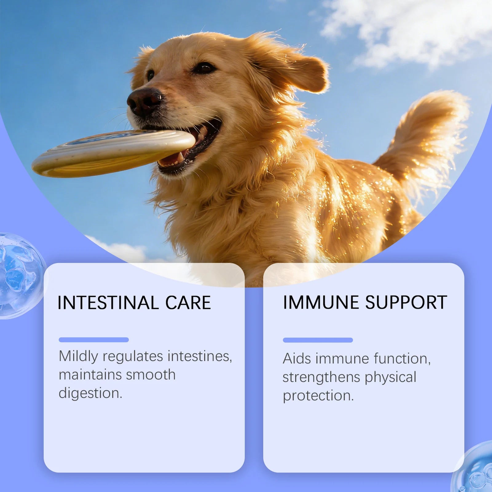 Suplement za imunitet psa – prah sa reishi, beta-glukanom i probioticima, 100g