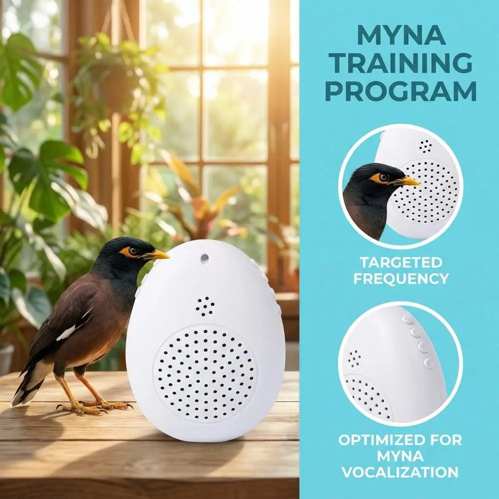 Parrot Speech Learning Machine – Recording, Timer, Interactive