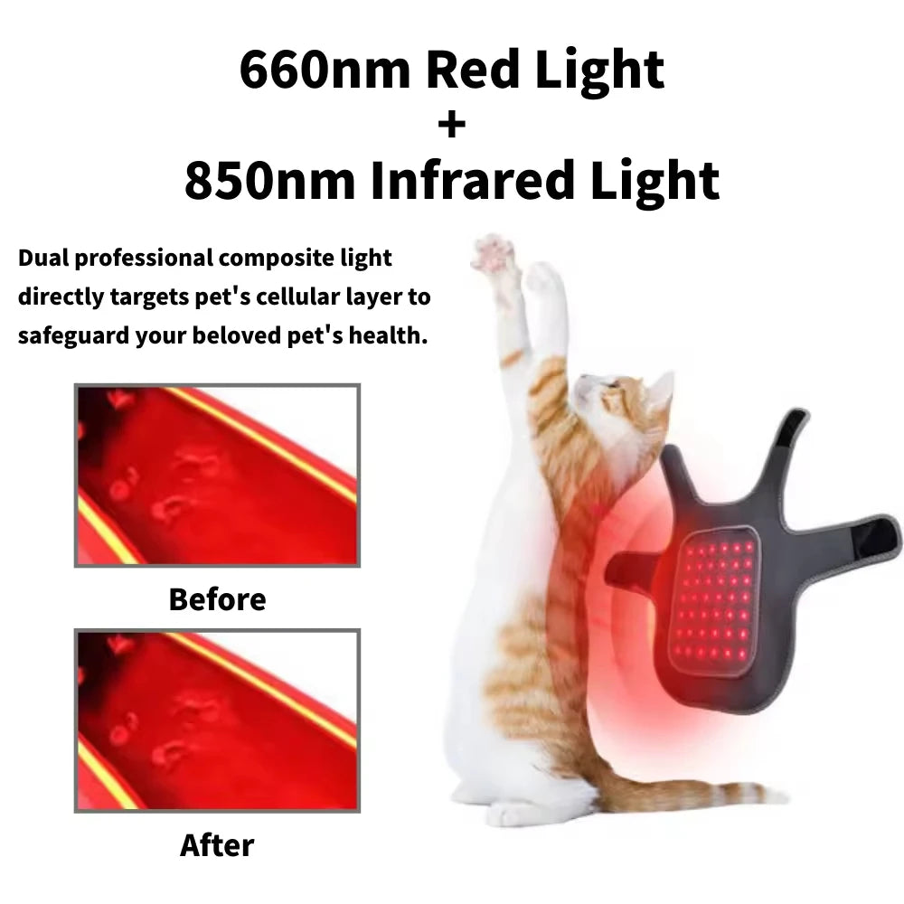 LED infracrveni terapijski prsluk za pse i mačke – kućna fototerapija