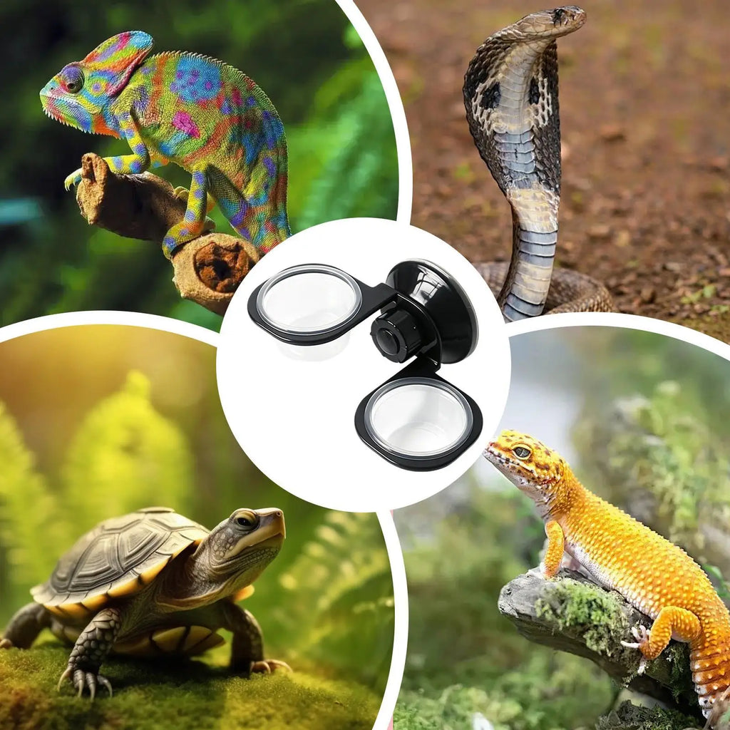 Zidna posuda za hranu i vodu za reptile – vakumski pričvršćivač