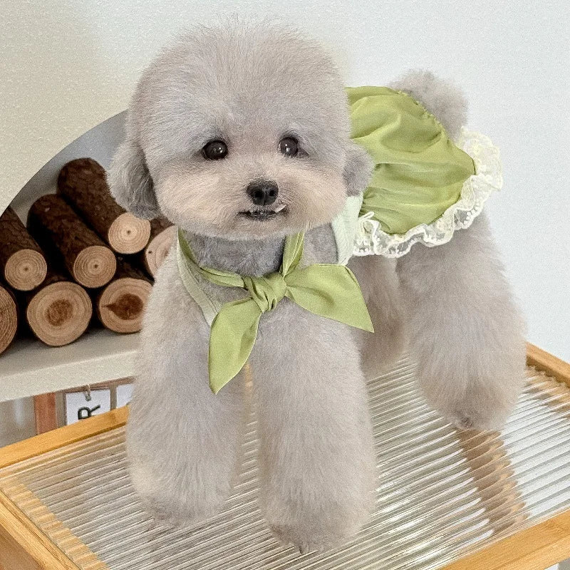 Pet Summer Lace Clothes Silk Jumpsuit Split Tank Top Bow Bubble Lace Half Skirt Thin Teddy Pet Dog Summer Dresses for Small Dog