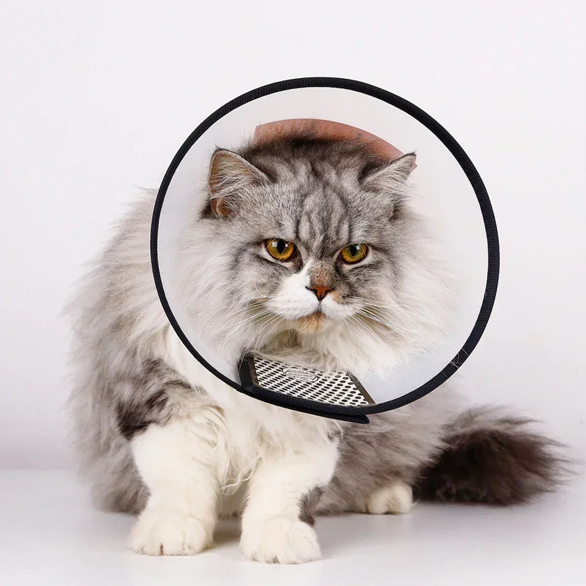 Protective collar - funnel for dogs and cats, post-surgery recovery