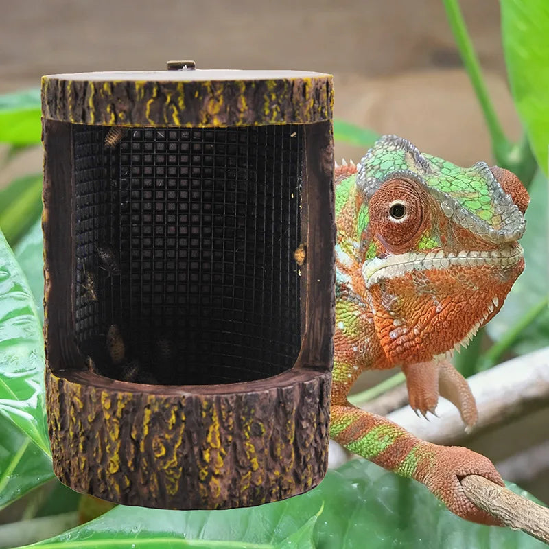 Reptile Feeder – Container for Insects, Terrarium, Lizards, and Chameleons