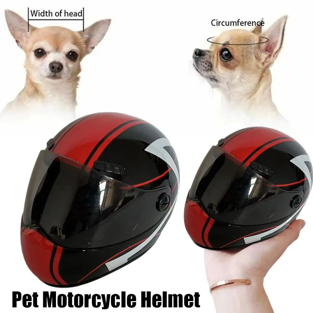 Mini motociklistička kaciga za pse i mačke – slatki rekvizit za putovanje