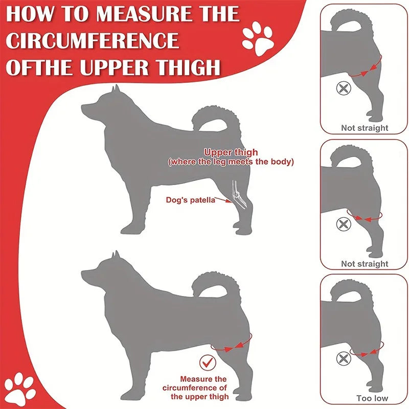 OEM Dog Knee Support Wrap Post Surgery Recovery Sleeve Anti-Scratch Protective Bandage for Pets