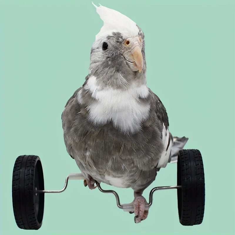 Mini Bird Bicycle – Balance and Intelligence Training for Parrots