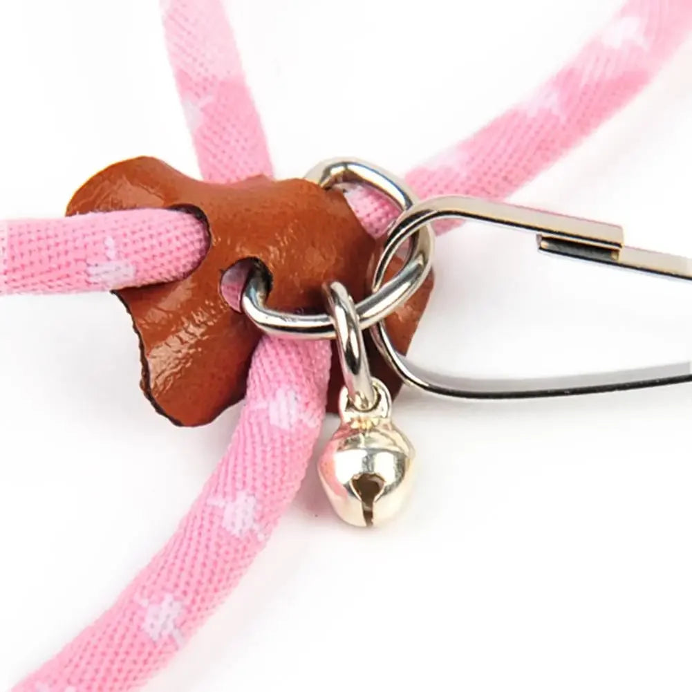 Adjustable Harness with Leash for Small Pets – Birds, Hamsters, Guinea Pigs, Rats