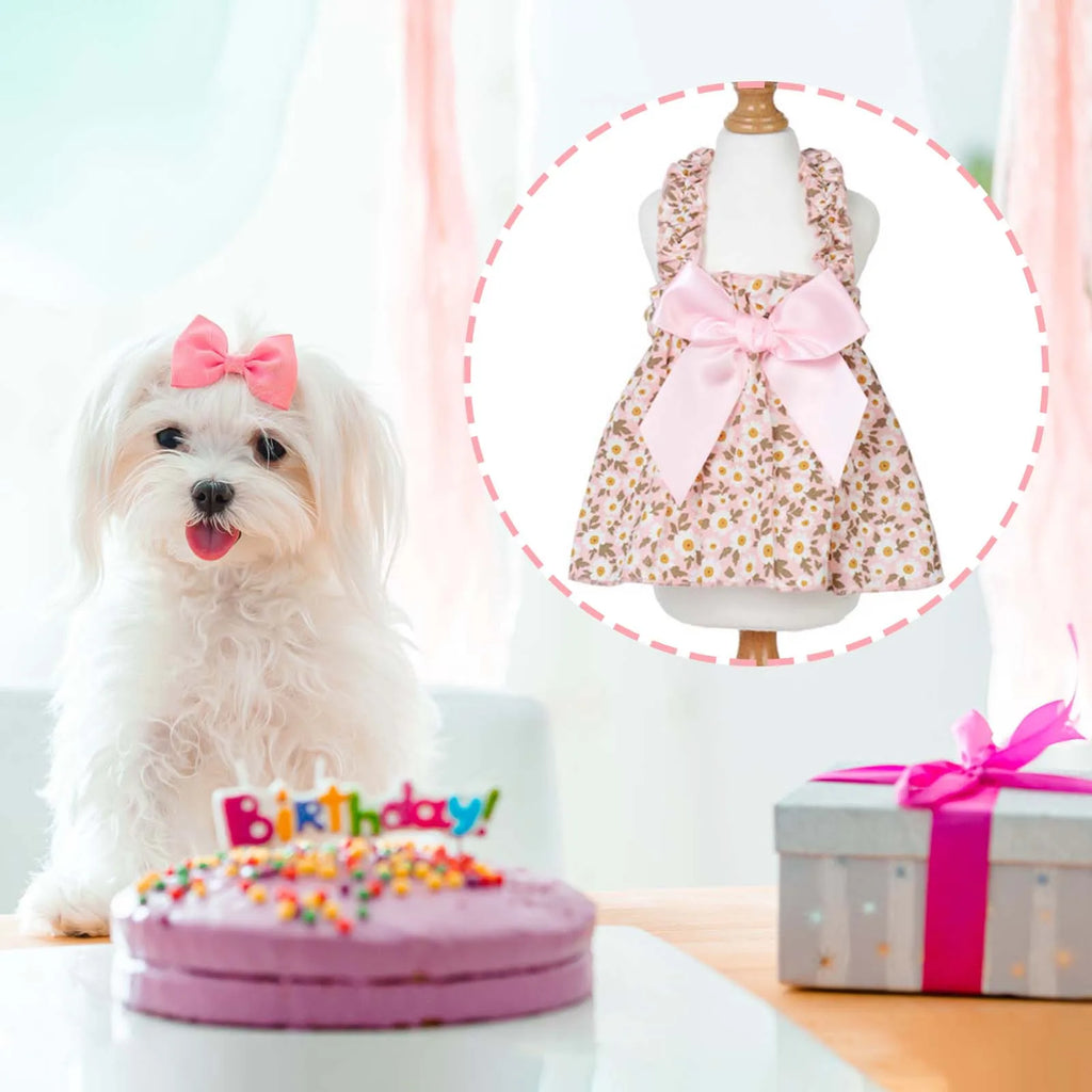 Dress for Cats and Small Dogs – Summer Dress with Pink Floral Print