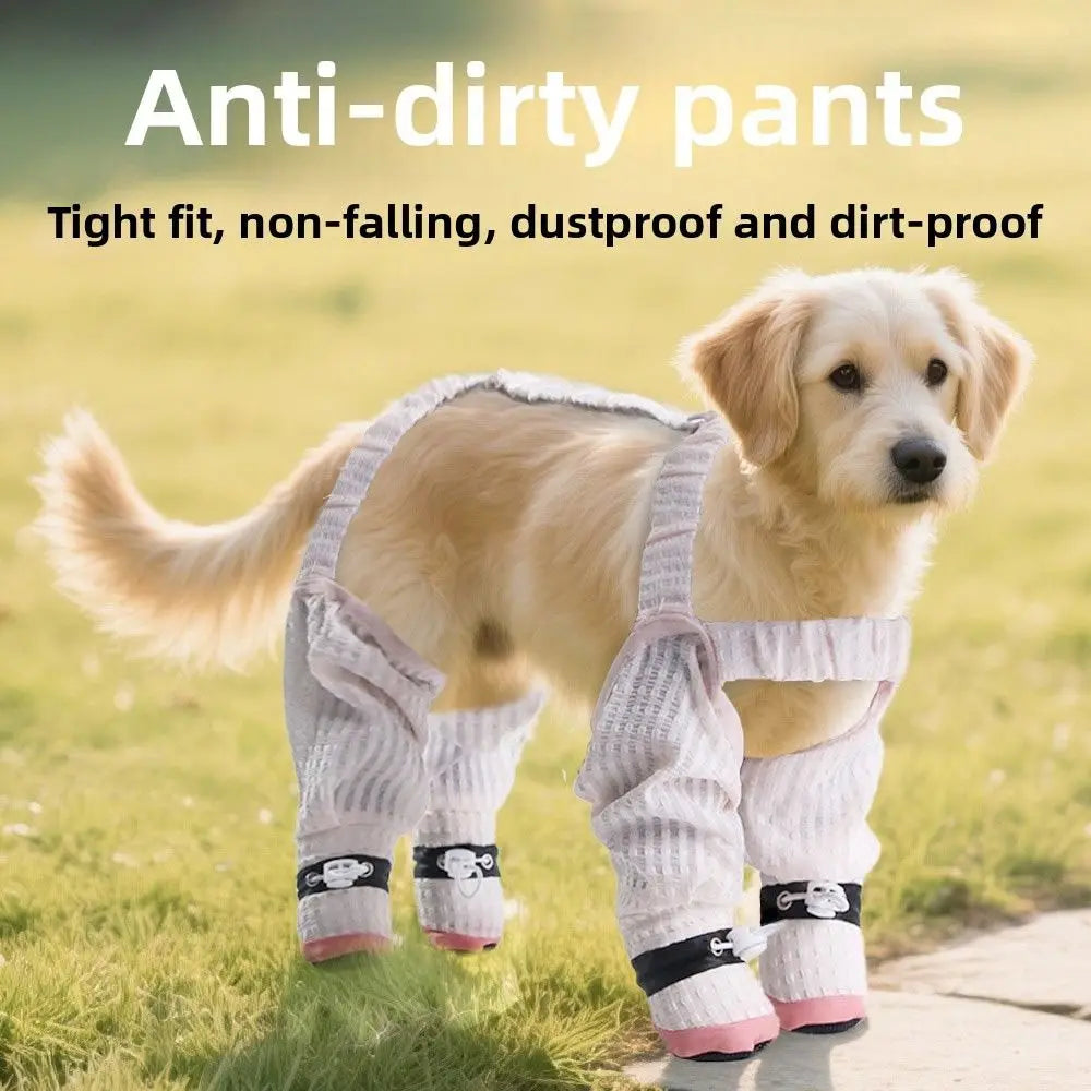 Pantalone za pse za sve 4 noge – zaštita od prašine i antiklizajuće | XS–XXL