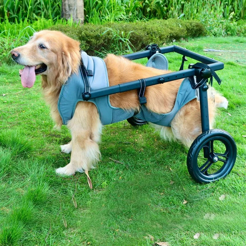 Professional Mobility Aid For Large Pet Breeds, Rehabilitation Cart With Walking Support | Enables Exercise & Daily Assistance