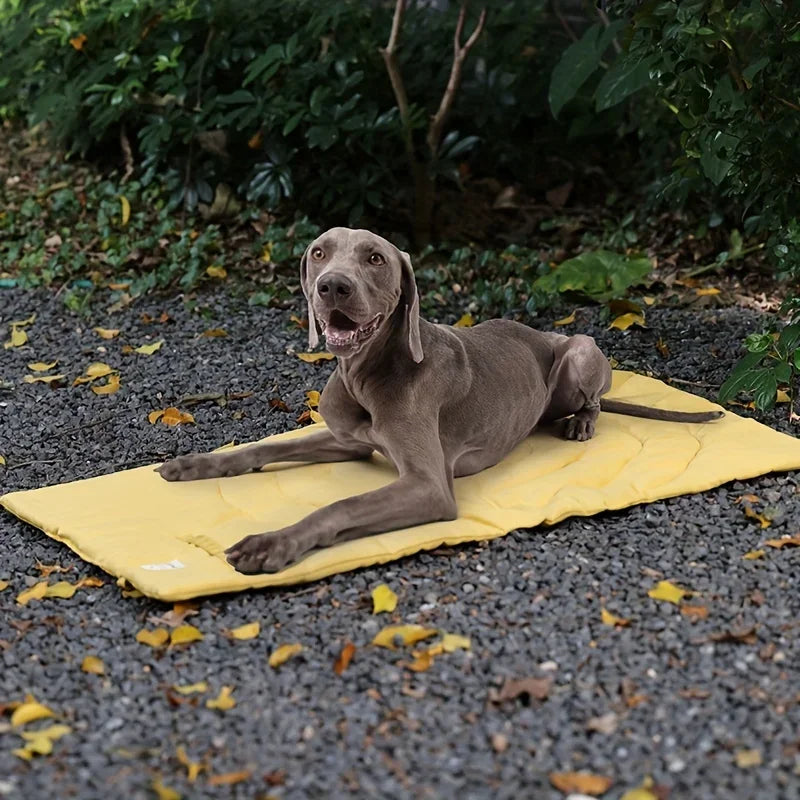 Sklopiva vodootporna podloga za pse – 95×65 cm, za auto i outdoor, 4 boje