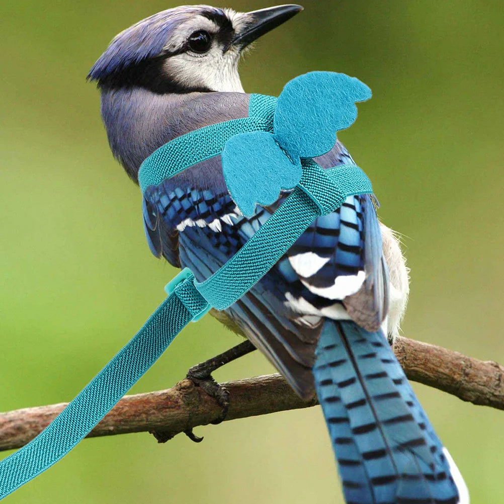 Ultralight Parrot Flight Training Harness – Adjustable, Durable, for Indoor and Outdoor Use