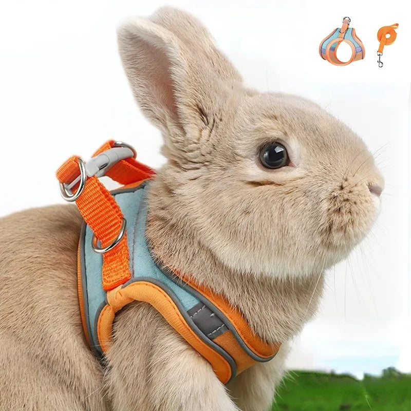 Rabbit Harness and Leash – Reflective Strips, Double Buckle, S/M/L