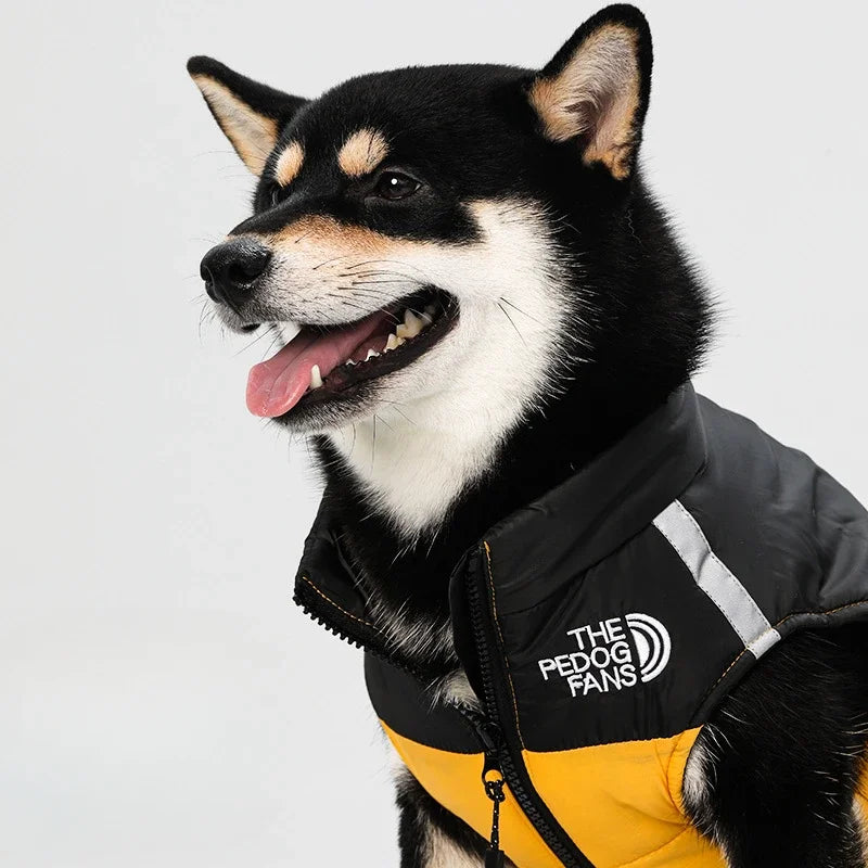 Winter dog jacket – padded, warm, with reflectors
