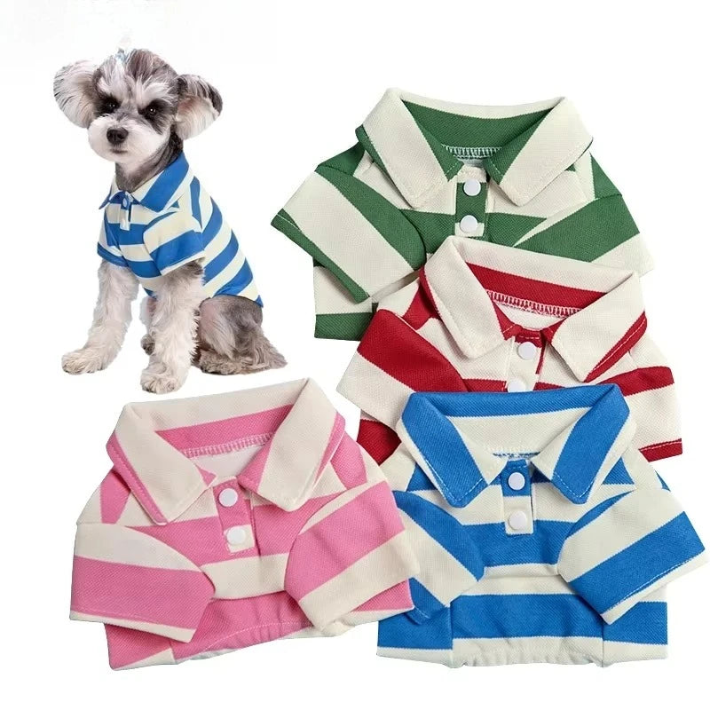 Polo majica za pse – modni t-shirt za male i srednje ljubimce