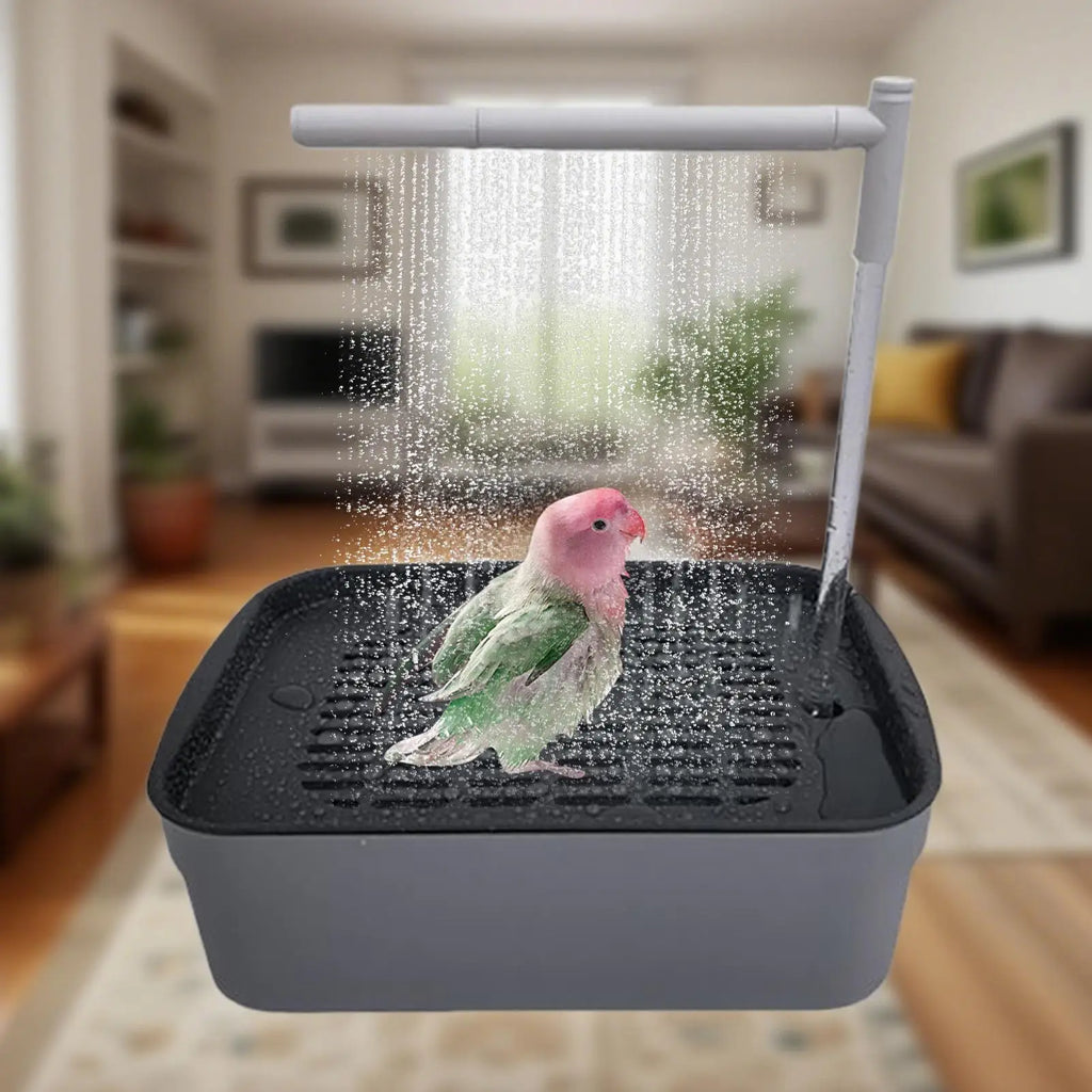 Automatic Bird Bath Tub – Water Circulation, Bird Shower