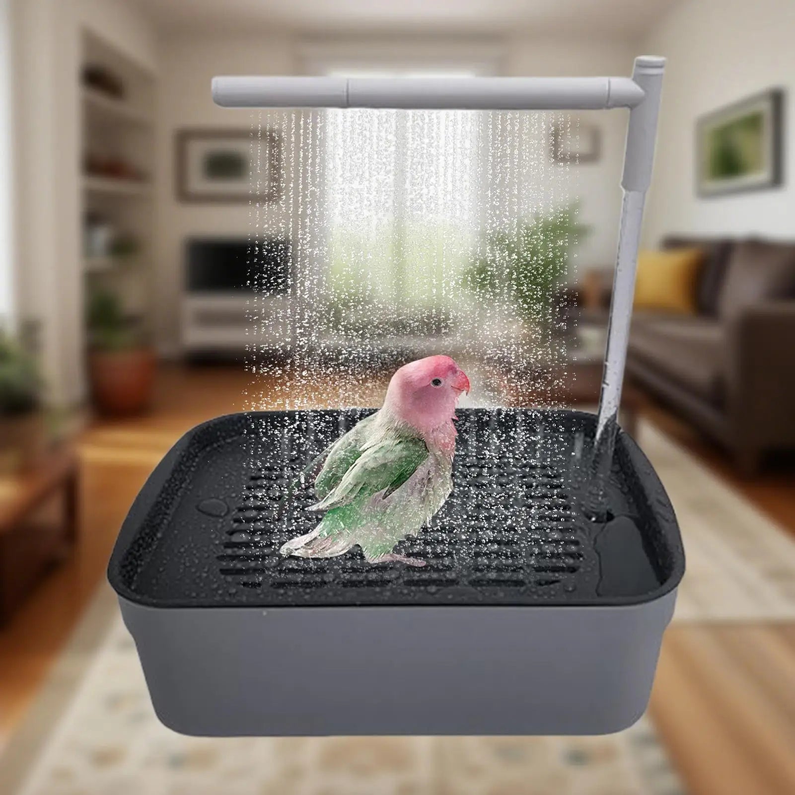 Automatic Bird Bath Tub – Water Circulation, Bird Shower
