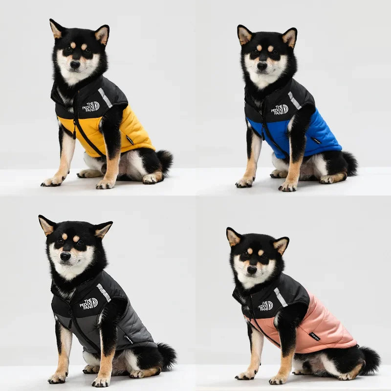Winter dog jacket – padded, warm, with reflectors