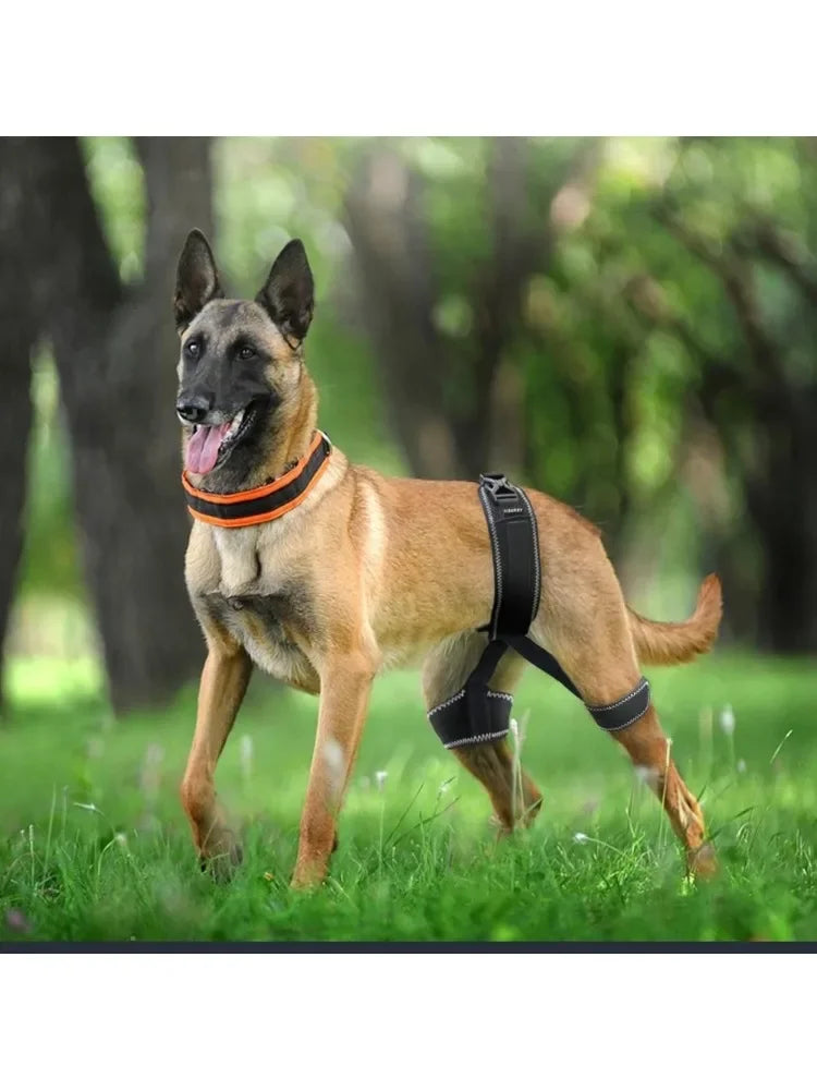 Dog Hip Orthotics Brace,Support for Hip Dysplasia,Relieve Pain Prevent Hip Joint Diseases,Help Dog Injury Recovery